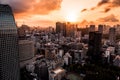 Aerial Drone Photo - Skyline of the city of Tokyo, Japan at sunrise. Asia