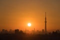 Beautiful Tokyo sunset cityscape