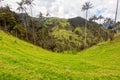 Beautiful tolima valley Royalty Free Stock Photo