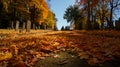 Beautiful stone tomb graves in a cemetery during the fall autumn season. Many orange leaves in the ground. Halloween