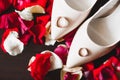 Beautiful toned picture with wedding rings on wedding shoes against the background of flowers Royalty Free Stock Photo