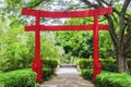 Beautiful torii gate in Japanese garden contracting with the green of nature Royalty Free Stock Photo