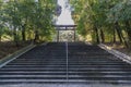 Beautiful Torii and Omi Jingu