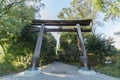 Beautiful Torii and Omi Jingu