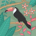 Beautiful Toucan Bird Editable Vector Illustration