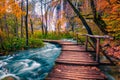 Beautiful tourist pathway in colorful autumn forest, Plitvice lakes, Croatia Royalty Free Stock Photo