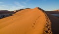 Beautiful towering red sand dunes at famous Deadvlei near Sossusvlei in Namib desert, Namibia, Southern Africa Royalty Free Stock Photo