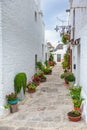 Beautiful town of Alberobello with Trulli houses among green plants and flowers, Apulia region, Southern Italy.