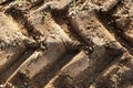 Tractor sand tracks. Agricultural natural ground mark backdrop. Tractor trace texture. Royalty Free Stock Photo