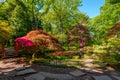 Beautiful traditional Japanese garden in springtime, in park Clingendael, The Hague, Netherlands Royalty Free Stock Photo