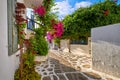 Beautiful traditional streets of Greek island towns. Whitewashed houses, bougainvillea in blossom, greenery, flower pots