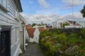 beautiful traditional white wooden houses, Stavanger