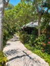 Beautiful trail through the jungle in a Mexican resort