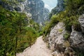 Beautiful trail, path, way, mountain road Royalty Free Stock Photo