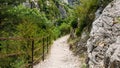 Beautiful trail, path, way, mountain road Royalty Free Stock Photo