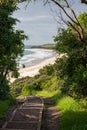 Beautiful trail to mystics beach minnamurra beach Royalty Free Stock Photo