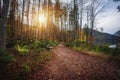 Beautiful trail and wooden bench with colorful autumn vegetation by Alpsee lake near Fussen - Schwangau, Bavaria, Germany Royalty Free Stock Photo