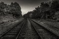 Train tracks in mono Royalty Free Stock Photo