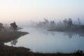 Beautiful tranquil landscape of misty swamp lake