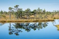 Beautiful tranquil landscape of misty swamp lake