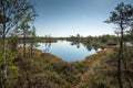 Beautiful tranquil landscape of sunny swamp lake Royalty Free Stock Photo