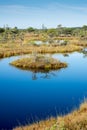 Beautiful tranquil landscape of sunny swamp lake Royalty Free Stock Photo