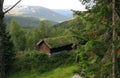 Beautiful tranquil place in Norway in the middle of green forest, a hut with a roof covered with green moss Royalty Free Stock Photo