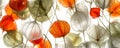 Beautiful translucent capsules of Physalis flower on white background. Elegant Chinese Lantern plant. Generative AI Royalty Free Stock Photo