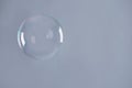 Beautiful translucent soap bubble on grey background