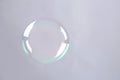 Beautiful translucent soap bubble on grey background