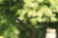 Beautiful translucent soap bubble outdoors on sunny day Royalty Free Stock Photo