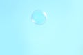 Beautiful translucent soap bubble outdoors on sunny day Royalty Free Stock Photo