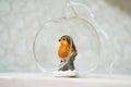 Beautiful transparent Christmas tree ball with a bird inside