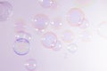 Beautiful transparent colorful pink and blue soap bubbles float texture background. freshness natural summer background. Royalty Free Stock Photo