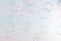 Beautiful transparent colorful soap bubbles float texture background. freshness natural summer background. Royalty Free Stock Photo