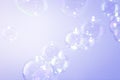 Beautiful Transparent Purple Soap Bubbles Texture on White Background Royalty Free Stock Photo