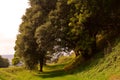 Beautiful tree alley in autumn park, Carisbrooke Castle, Newport, the Isle of Wight, England Royalty Free Stock Photo