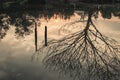 Beautiful tree autumn sunset reflection in water.Natural sunrise landscape Royalty Free Stock Photo