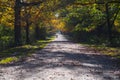 Beautiful autumn alley in sunny day Royalty Free Stock Photo