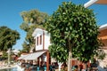 Beautiful tree on the background of the exterior of a building in Turkey.Close-up .Concept of the plant in warm countries