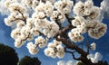 Beautiful tree full of white flowers, cherry blossom magic tree, beautiful flowers background. Generative Ai