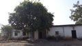 A beautiful tree infront of a house