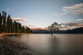 Beautiful tree inside the Lake Wanaka, taken during sunrise. Long Exposure. Travel concept, New Zealand. Royalty Free Stock Photo