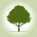 Beautiful Green Tree with Leaves. Vector Illustration.