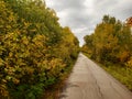 Beautiful tree-lined foot and bike path in autumn in Assiniboine Forest in Winnipeg, Manitoba, Canada