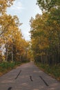 Beautiful tree-lined foot and bike path in autumn in Assiniboine Forest in Winnipeg, Manitoba, Canada Royalty Free Stock Photo