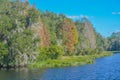 The beautiful tree lined Hurrah Lake in Alafia River State Park, Lithia, Hillsborough County, Florida Royalty Free Stock Photo