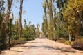 Beautiful tree lined paths in Ribalta Park, CastellÃÂ³n, Valencia, Spain.