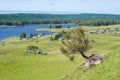 Beautiful tree in mountain overlooking a lake Royalty Free Stock Photo