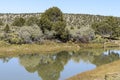 Beautiful tree Reflections in the Sevier River in South-Eastern Utah with blue skies and tree dotted hill in background